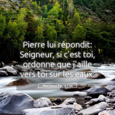 Picture 05 - Matthieu 14:28 LSG - Pierre lui répondit: Seigneur, si c'est toi, - Bible Verse Picture