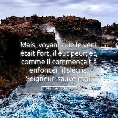 Picture 05 - Matthieu 14:30 LSG - Mais, voyant que le vent était fort, il eut - Bible Verse Picture