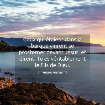 Picture 05 - Matthieu 14:33 LSG - Ceux qui étaient dans la barque vinrent se - Bible Verse Picture