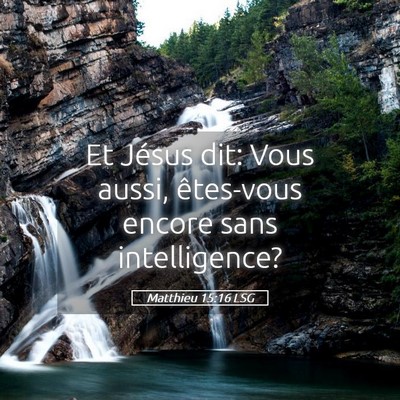Picture 05 - Matthieu 15:16 LSG - Et Jésus dit: Vous aussi, êtes-vous encore sans - Bible Verse Picture