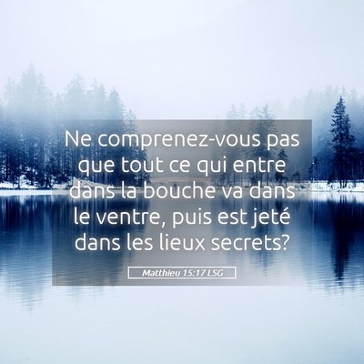 Picture 05 - Matthieu 15:17 LSG - Ne comprenez-vous pas que tout ce qui entre dans - Bible Verse Picture