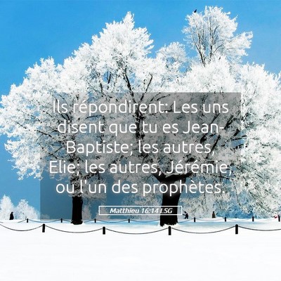 Picture 05 - Matthieu 16:14 LSG - Ils répondirent: Les uns disent que tu es - Bible Verse Picture