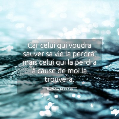 Picture 05 - Matthieu 16:25 LSG - Car celui qui voudra sauver sa vie la perdra, - Bible Verse Picture