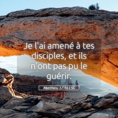 Picture 05 - Matthieu 17:16 LSG - Je l'ai amené à tes disciples, et ils n'ont pas - Bible Verse Picture