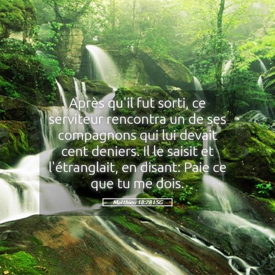 Picture 05 - Matthieu 18:28 LSG - Après qu'il fut sorti, ce serviteur rencontra un - Bible Verse Picture