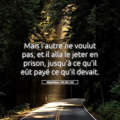 Picture 05 - Matthieu 18:30 LSG - Mais l'autre ne voulut pas, et il alla le jeter - Bible Verse Picture