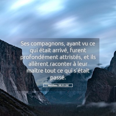 Picture 05 - Matthieu 18:31 LSG - Ses compagnons, ayant vu ce qui était arrivé, - Bible Verse Picture