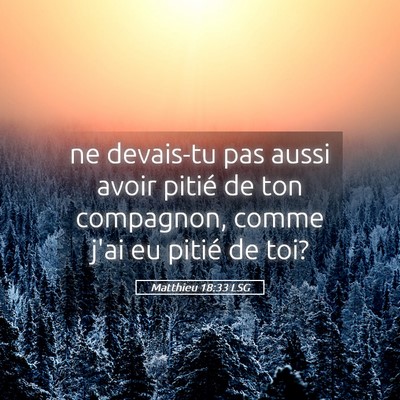 Picture 05 - Matthieu 18:33 LSG - ne devais-tu pas aussi avoir pitié de ton - Bible Verse Picture