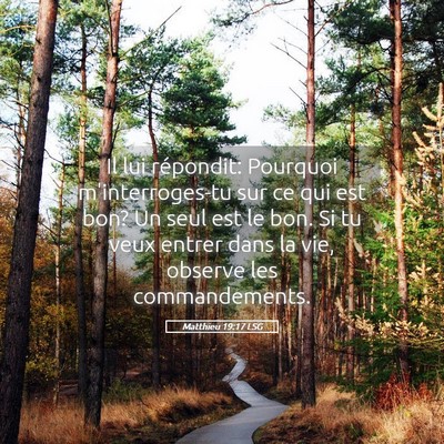 Picture 05 - Matthieu 19:17 LSG - Il lui répondit: Pourquoi m'interroges-tu sur ce - Bible Verse Picture