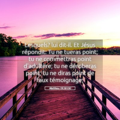 Picture 05 - Matthieu 19:18 LSG - Lesquels? lui dit-il. Et Jésus répondit: Tu ne - Bible Verse Picture