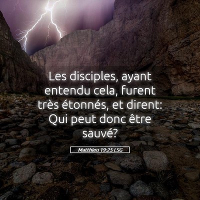 Picture 05 - Matthieu 19:25 LSG - Les disciples, ayant entendu cela, furent très - Bible Verse Picture