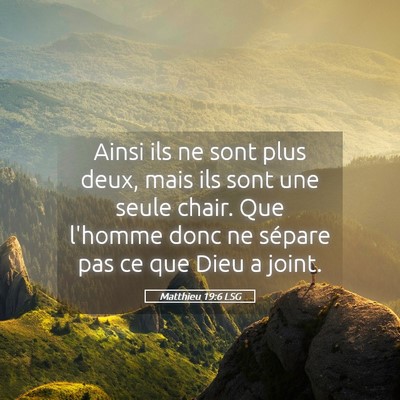 Picture 05 - Matthieu 19:6 LSG - Ainsi ils ne sont plus deux, mais ils sont une - Bible Verse Picture