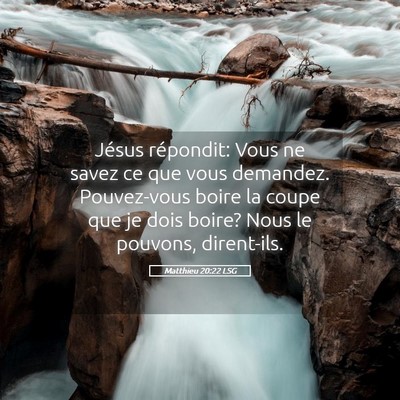Picture 05 - Matthieu 20:22 LSG - Jésus répondit: Vous ne savez ce que vous - Bible Verse Picture
