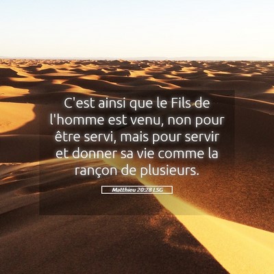 Picture 05 - Matthieu 20:28 LSG - C'est ainsi que le Fils de l'homme est venu, non - Bible Verse Picture