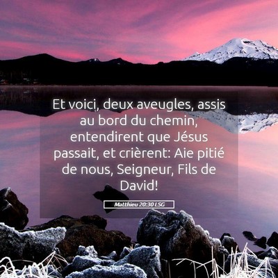 Picture 05 - Matthieu 20:30 LSG - Et voici, deux aveugles, assis au bord du chemin, - Bible Verse Picture