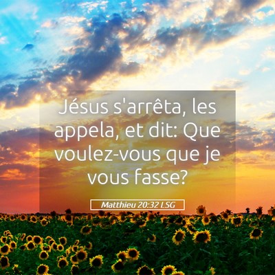 Picture 05 - Matthieu 20:32 LSG - Jésus s'arrêta, les appela, et dit: Que - Bible Verse Picture