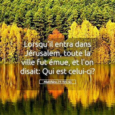 Picture 05 - Matthieu 21:10 LSG - Lorsqu'il entra dans Jérusalem, toute la ville - Bible Verse Picture