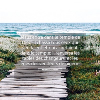 Picture 05 - Matthieu 21:12 LSG - Jésus entra dans le temple de Dieu. Il chassa - Bible Verse Picture