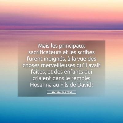 Picture 05 - Matthieu 21:15 LSG - Mais les principaux sacrificateurs et les scribes - Bible Verse Picture