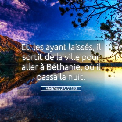 Picture 05 - Matthieu 21:17 LSG - Et, les ayant laissés, il sortit de la ville - Bible Verse Picture