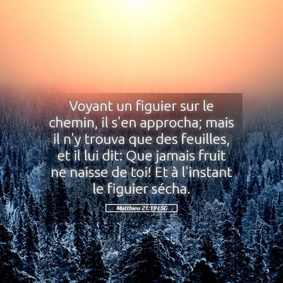 Picture 05 - Matthieu 21:19 LSG - Voyant un figuier sur le chemin, il s'en - Bible Verse Picture
