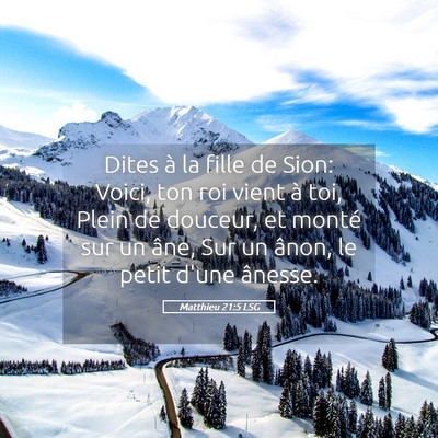 Picture 05 - Matthieu 21:5 LSG - Dites à la fille de Sion: Voici, ton roi vient - Bible Verse Picture