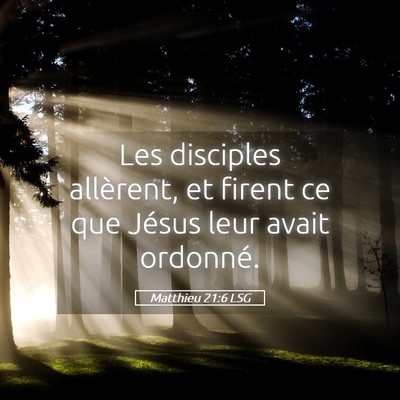 Picture 05 - Matthieu 21:6 LSG - Les disciples allèrent, et firent ce que Jésus - Bible Verse Picture