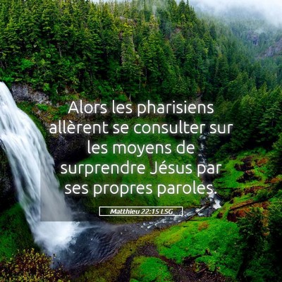 Picture 05 - Matthieu 22:15 LSG - Alors les pharisiens allèrent se consulter sur - Bible Verse Picture