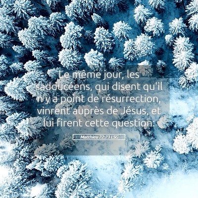 Picture 05 - Matthieu 22:23 LSG - Le même jour, les sadducéens, qui disent qu'il - Bible Verse Picture