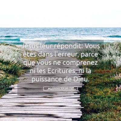 Picture 05 - Matthieu 22:29 LSG - Jésus leur répondit: Vous êtes dans l'erreur, - Bible Verse Picture