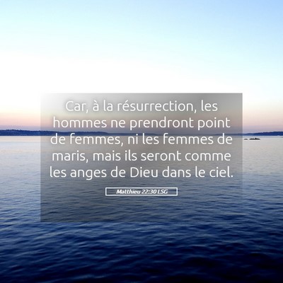 Picture 05 - Matthieu 22:30 LSG - Car, à la résurrection, les hommes ne prendront - Bible Verse Picture