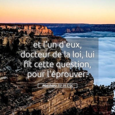 Picture 05 - Matthieu 22:35 LSG - et l'un d'eux, docteur de la loi, lui fit cette - Bible Verse Picture