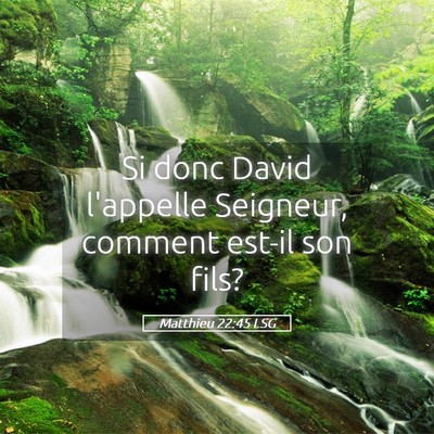Picture 05 - Matthieu 22:45 LSG - Si donc David l'appelle Seigneur, comment est-il - Bible Verse Picture
