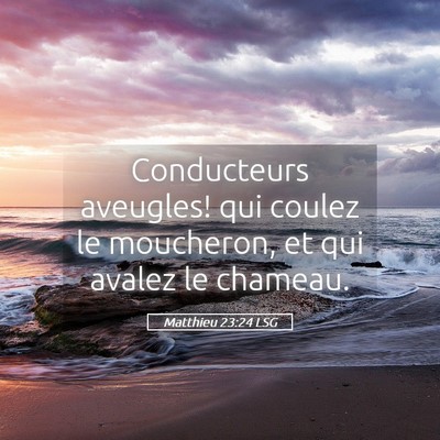 Picture 05 - Matthieu 23:24 LSG - Conducteurs aveugles! qui coulez le moucheron, et - Bible Verse Picture