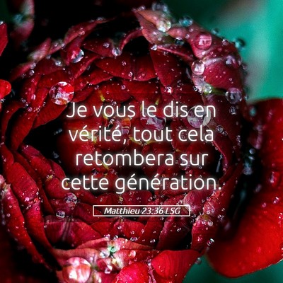 Picture 05 - Matthieu 23:36 LSG - Je vous le dis en vérité, tout cela retombera - Bible Verse Picture