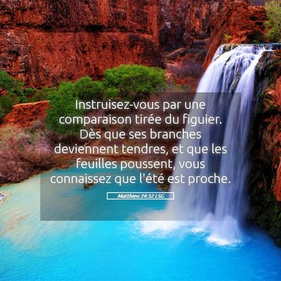 Picture 05 - Matthieu 24:32 LSG - Instruisez-vous par une comparaison tirée du - Bible Verse Picture