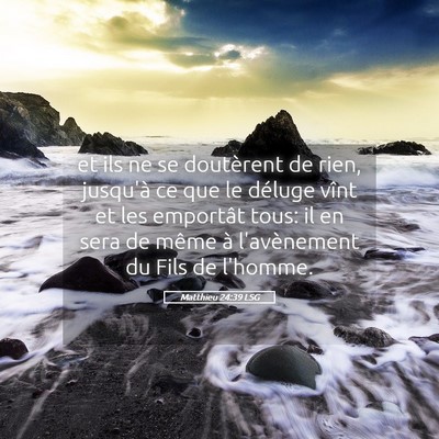 Picture 05 - Matthieu 24:39 LSG - et ils ne se doutèrent de rien, jusqu'à ce que - Bible Verse Picture