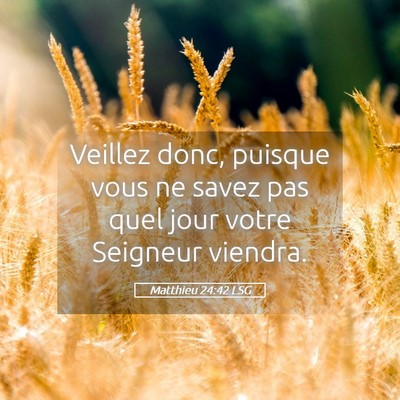 Picture 05 - Matthieu 24:42 LSG - Veillez donc, puisque vous ne savez pas quel jour - Bible Verse Picture