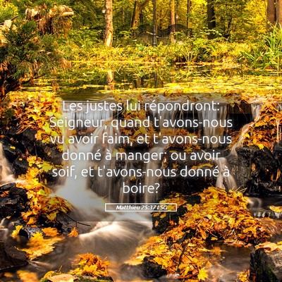 Picture 05 - Matthieu 25:37 LSG - Les justes lui répondront: Seigneur, quand - Bible Verse Picture