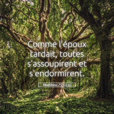 Picture 05 - Matthieu 25:5 LSG - Comme l'époux tardait, toutes s'assoupirent et - Bible Verse Picture