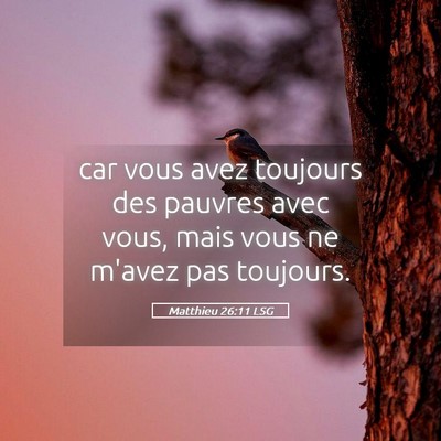 Picture 05 - Matthieu 26:11 LSG - car vous avez toujours des pauvres avec vous, - Bible Verse Picture