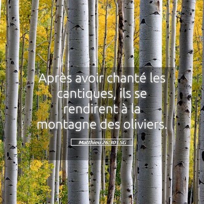 Picture 05 - Matthieu 26:30 LSG - Après avoir chanté les cantiques, ils se - Bible Verse Picture