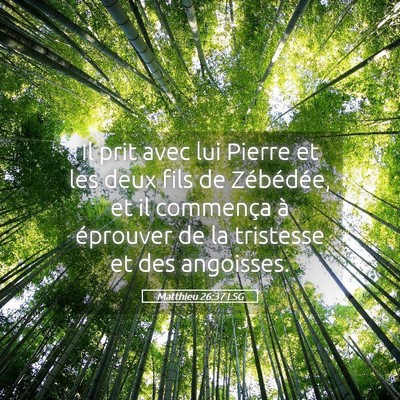 Picture 05 - Matthieu 26:37 LSG - Il prit avec lui Pierre et les deux fils de - Bible Verse Picture