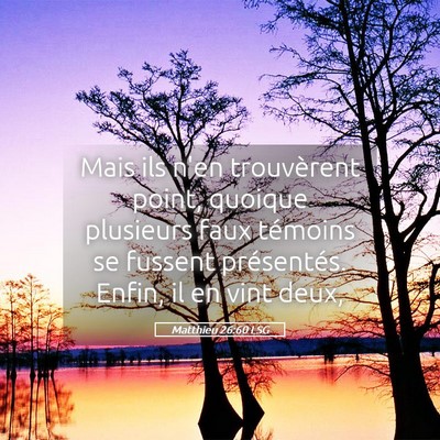 Picture 05 - Matthieu 26:60 LSG - Mais ils n'en trouvèrent point, quoique - Bible Verse Picture