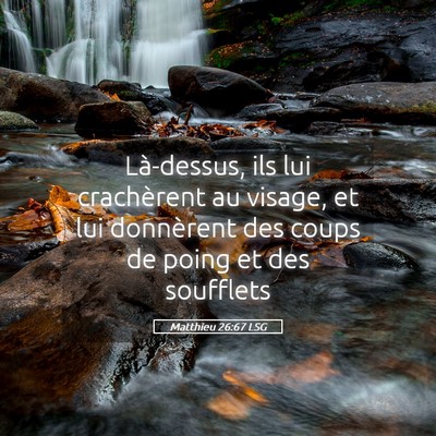 Picture 05 - Matthieu 26:67 LSG - Là-dessus, ils lui crachèrent au visage, et lui - Bible Verse Picture