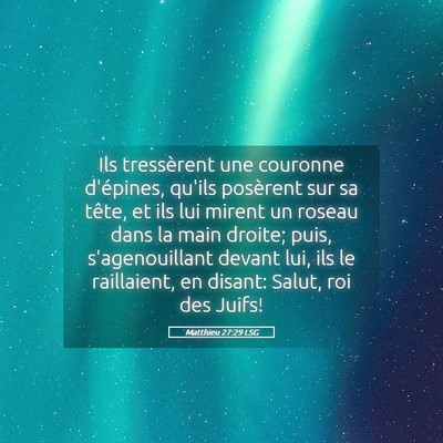 Picture 05 - Matthieu 27:29 LSG - Ils tressèrent une couronne d'épines, qu'ils - Bible Verse Picture