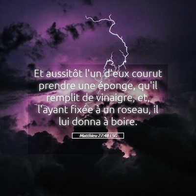 Picture 05 - Matthieu 27:48 LSG - Et aussitôt l'un d'eux courut prendre une - Bible Verse Picture
