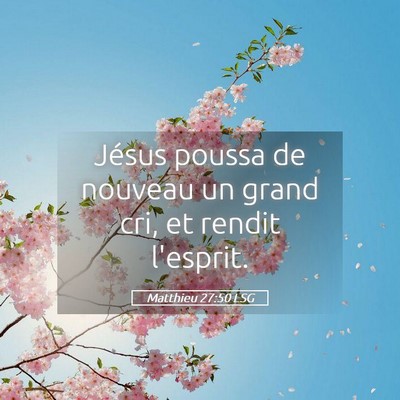 Picture 05 - Matthieu 27:50 LSG - Jésus poussa de nouveau un grand cri, et rendit - Bible Verse Picture
