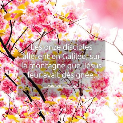 Picture 05 - Matthieu 28:16 LSG - Les onze disciples allèrent en Galilée, sur la - Bible Verse Picture