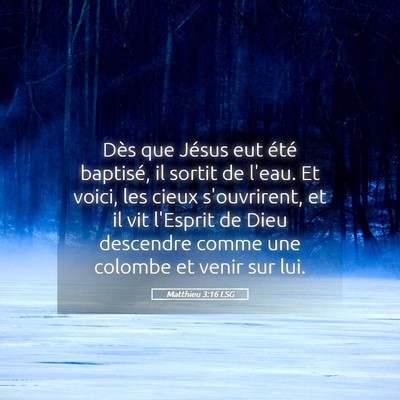 Picture 05 - Matthieu 3:16 LSG - Dès que Jésus eut été baptisé, il sortit de - Bible Verse Picture